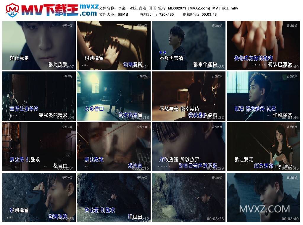 李鑫一-就让我走_国语_流行_MD302971